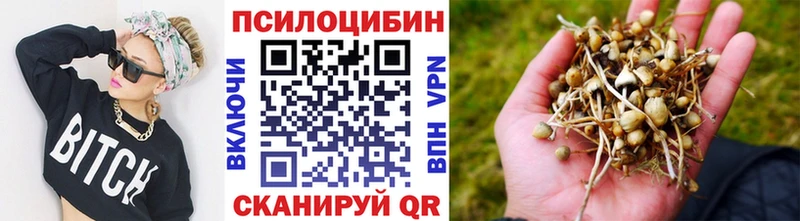 Псилоцибиновые грибы прущие грибы  Абинск 
